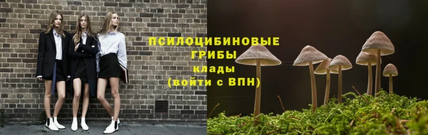 индика Алексин