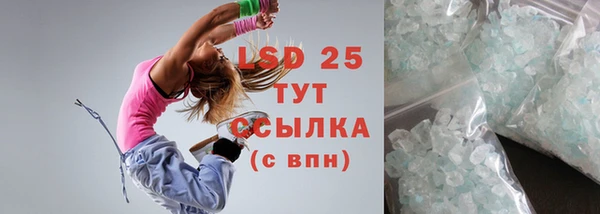 индика Алексин