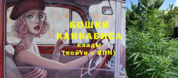 индика Алексин