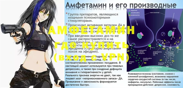 индика Алексин