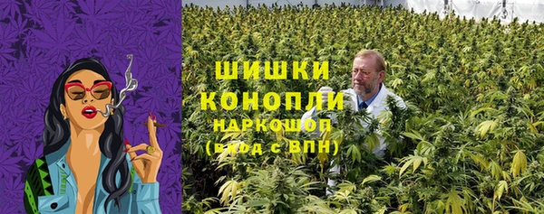 индика Алексин
