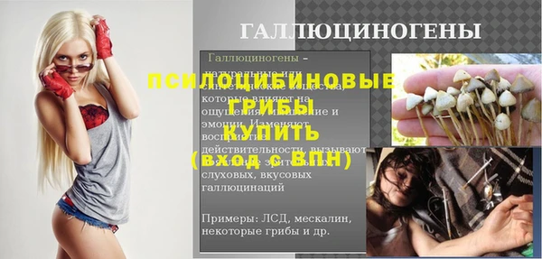 ГАЛЛЮЦИНОГЕННЫЕ ГРИБЫ Алзамай
