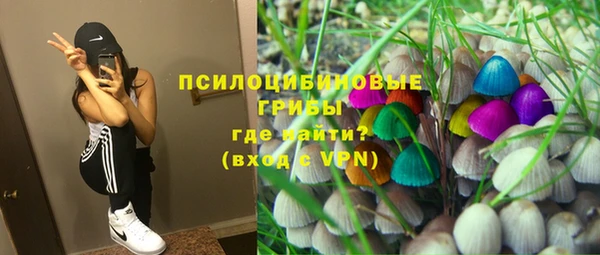 индика Алексин