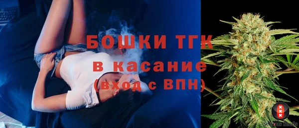 индика Алексин