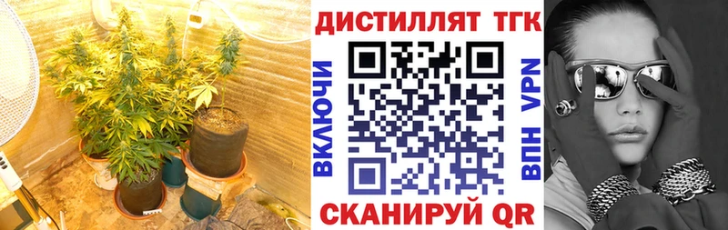 ТГК гашишное масло  где продают наркотики  Большой Камень 