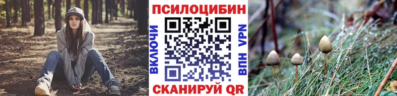 Галлюциногенные грибы Magic Shrooms  как найти закладки  Большой Камень 