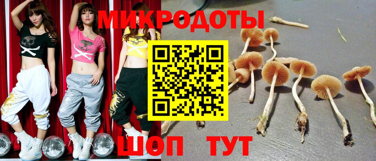 Псилоцибиновые грибы GOLDEN TEACHER  Вход с VPN  Большой Камень  Псилоцибиновые грибы мицелий 