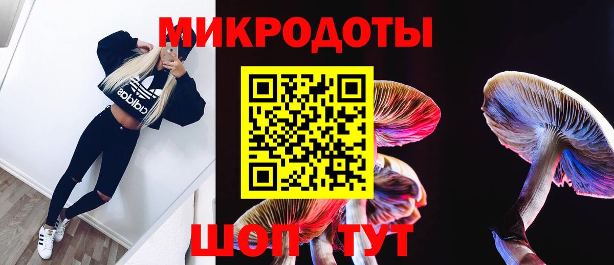 Псилоцибиновые грибы ЛСД Большой Камень
